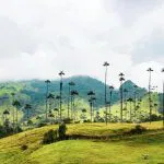 Spring in Colombia: Palms, Paint, and Caribbean Paradise